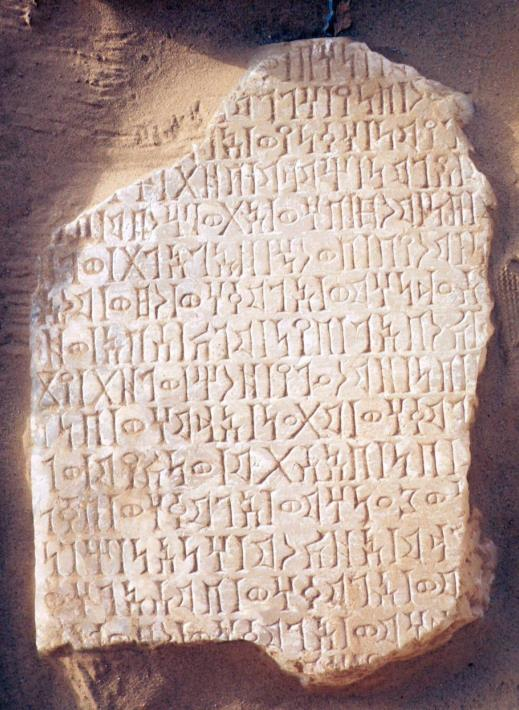 القيلي محرم بلقيس 10